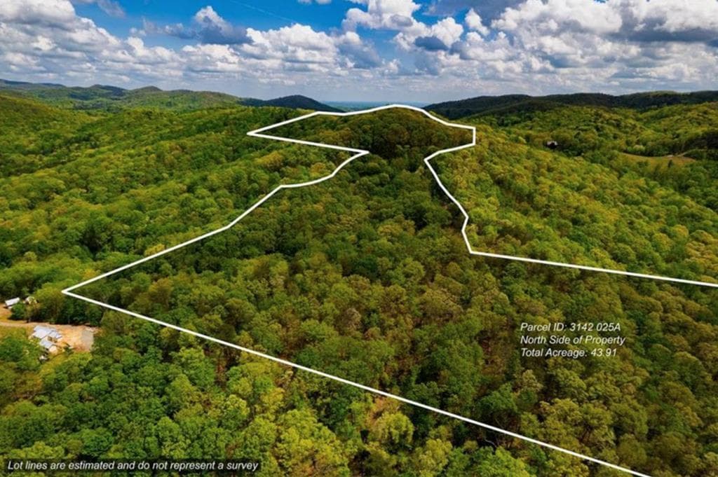 43.91 Old Burnt Mountain Road, Ellijay GA 30540 - Primary photo