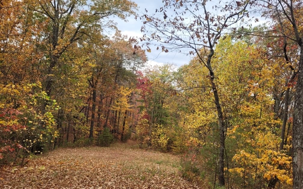 43.91 Old Burnt Mountain Road, Ellijay GA 30540 - Photo