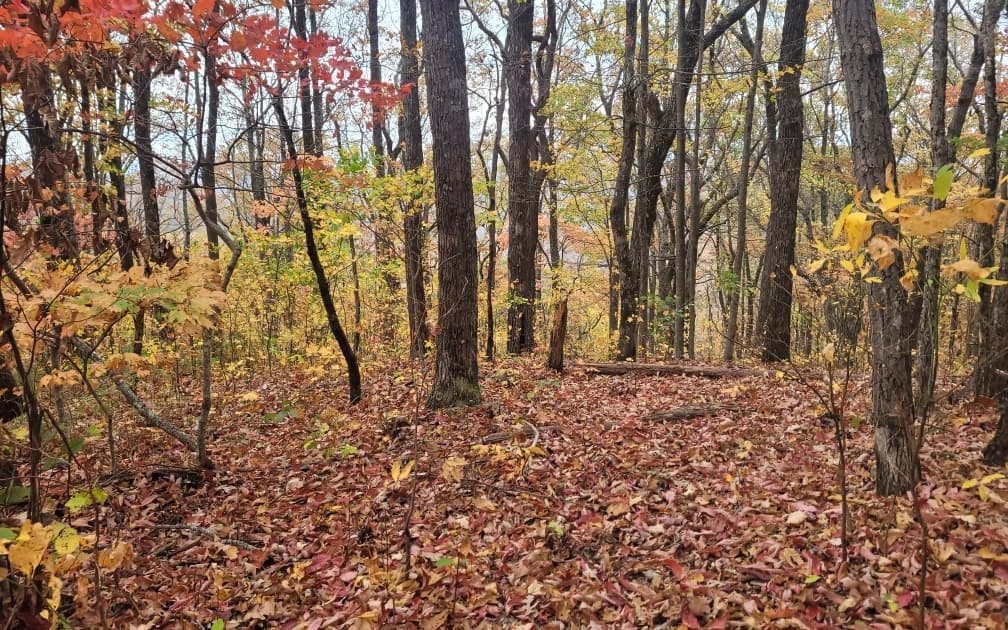 43.91 Old Burnt Mountain Road, Ellijay GA 30540 - Photo