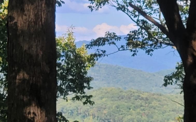 43.91 Old Burnt Mountain Road, Ellijay GA 30540 - Photo