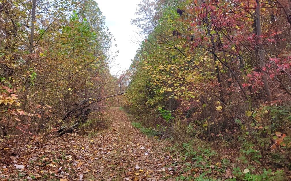 43.91 Old Burnt Mountain Road, Ellijay GA 30540 - Photo