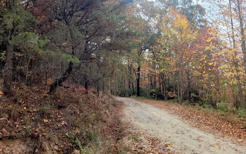 43.91 Old Burnt Mountain Road, Ellijay GA 30540 - Photo