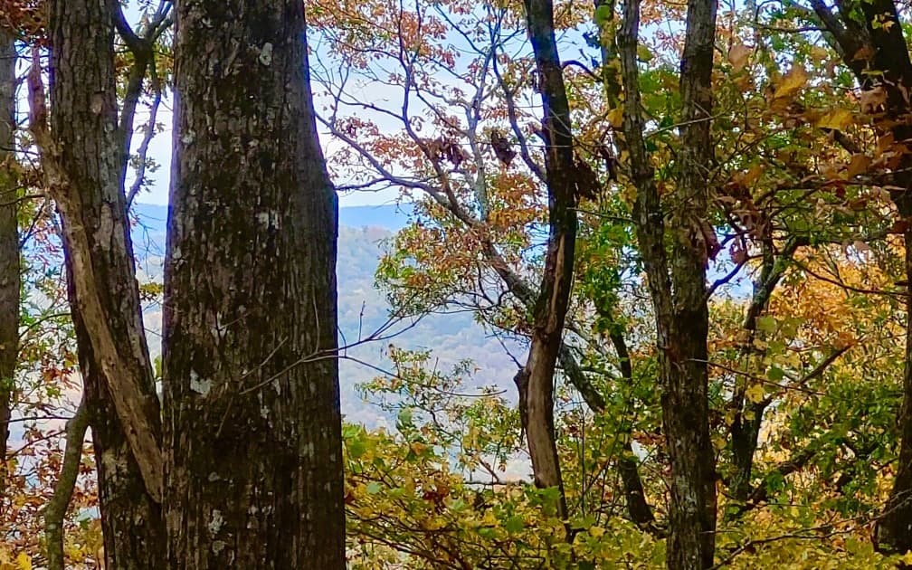 43.91 Old Burnt Mountain Road, Ellijay GA 30540 - Photo