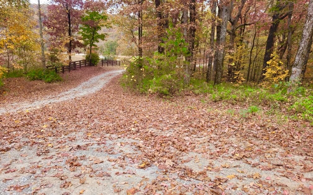 43.91 Old Burnt Mountain Road, Ellijay GA 30540 - Photo