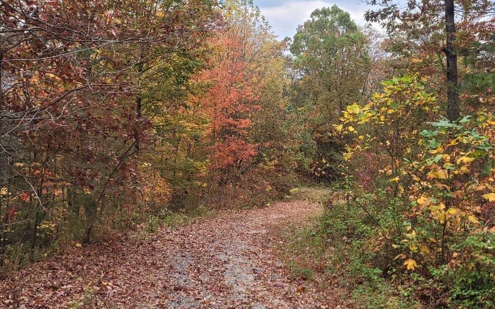 43.91 Old Burnt Mountain Road, Ellijay GA 30540 - Photo