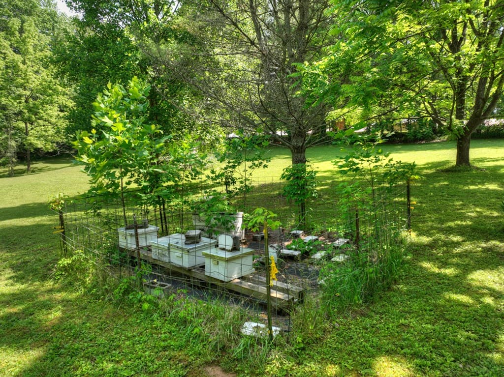 93 Collins Nursery Lane, Blairsville GA 30512 - Photo