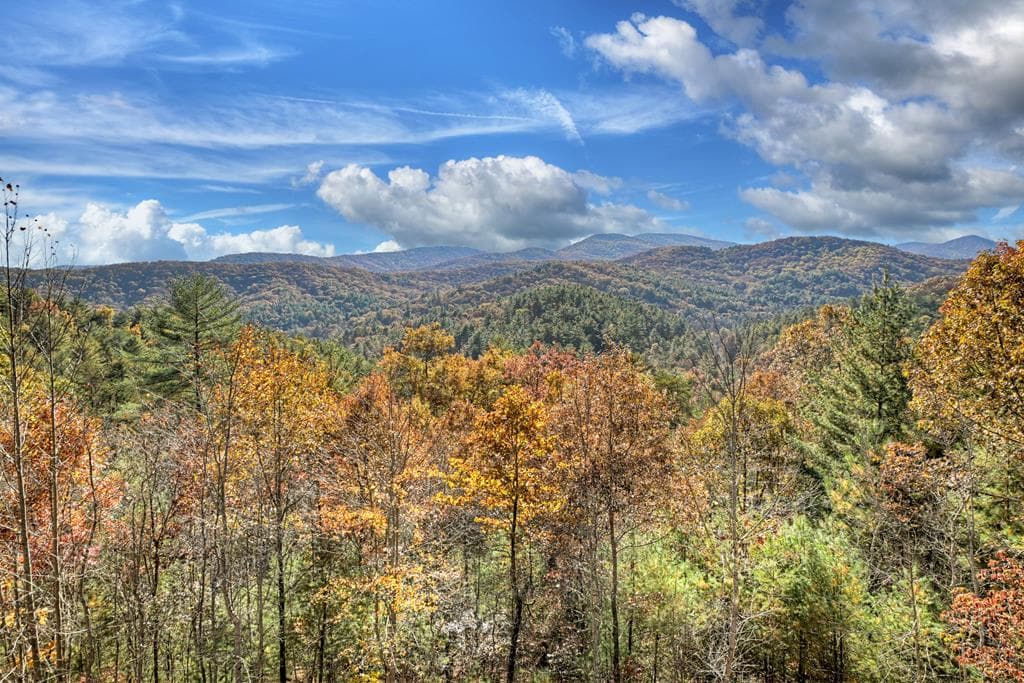 671 Stover Knob Trail, Cherry Log GA 30513 - Photo