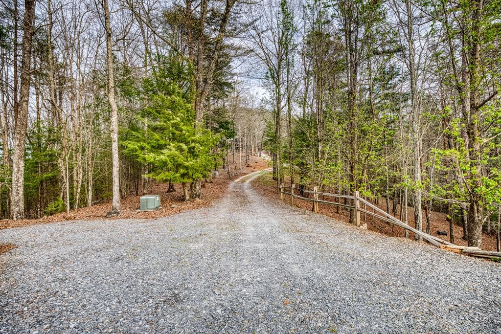 671 Stover Knob Trail, Cherry Log GA 30513 - Photo