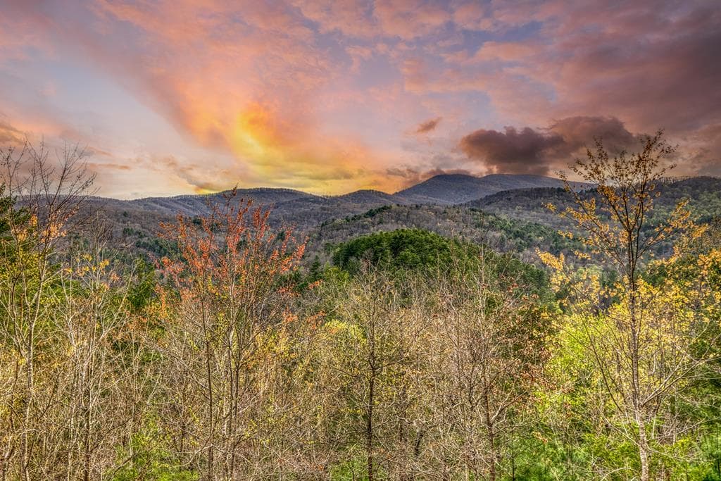 671 Stover Knob Trail, Cherry Log GA 30513 - Photo