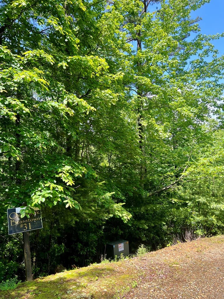 #31 Fiddlers Way, Murphy NC 28906 - Photo