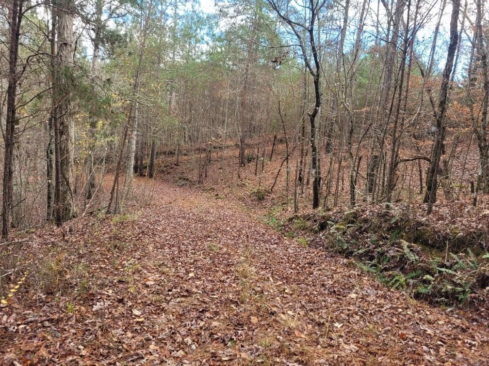 18.22 Talona Road, Ellijay GA 30540 - Photo