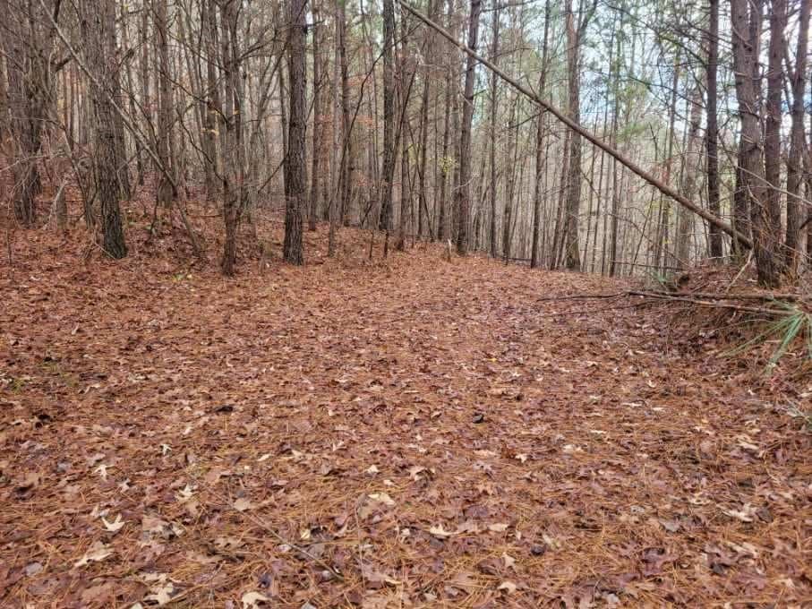 18.22 Talona Road, Ellijay GA 30540 - Photo