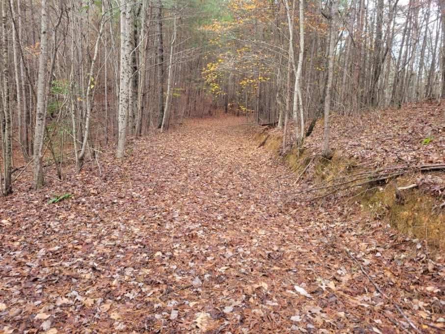 18.22 Talona Road, Ellijay GA 30540 - Photo