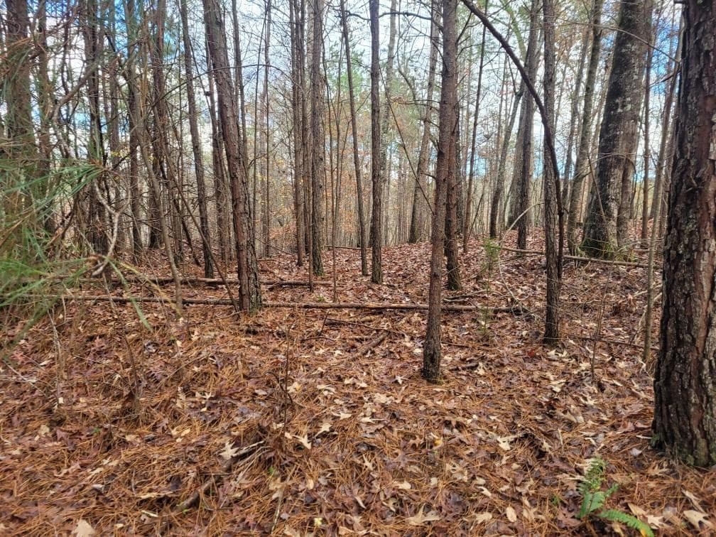 18.22 Talona Road, Ellijay GA 30540 - Photo