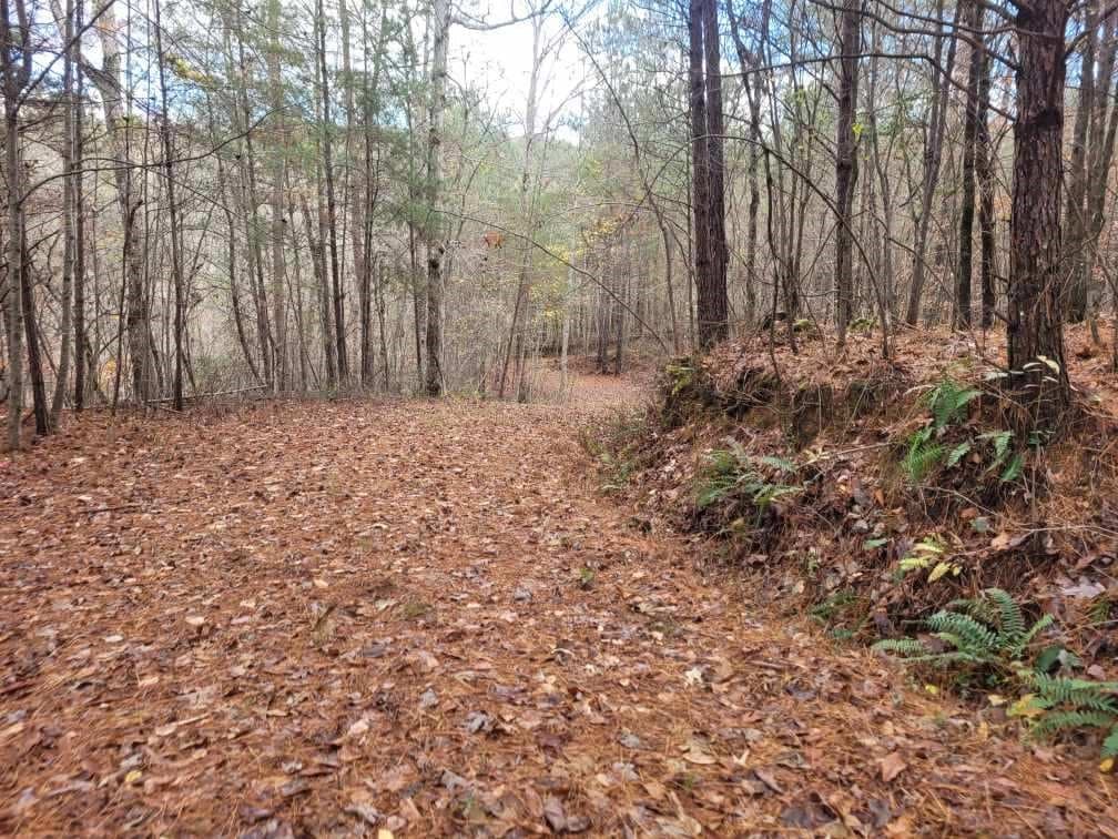 18.22 Talona Road, Ellijay GA 30540 - Photo