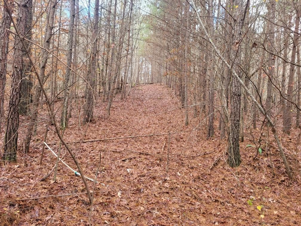 18.22 Talona Road, Ellijay GA 30540 - Primary photo