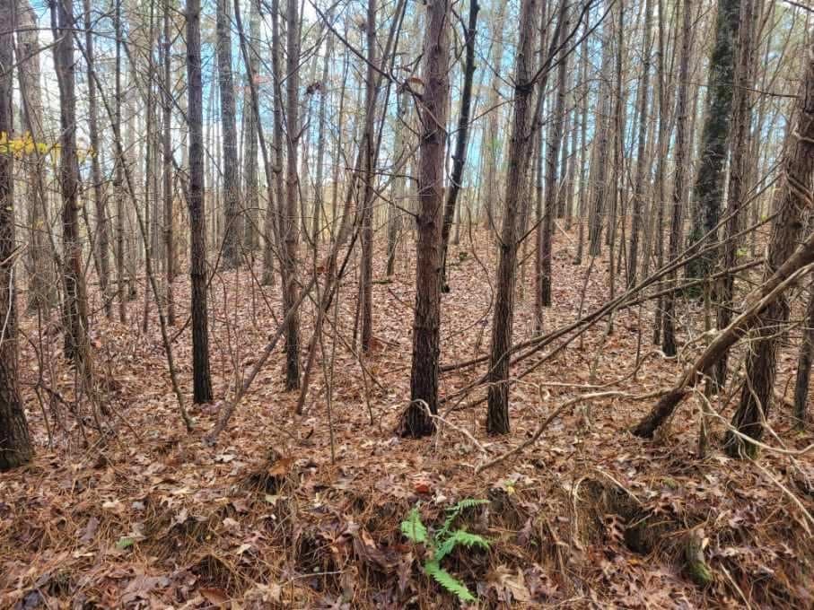 18.22 Talona Road, Ellijay GA 30540 - Photo