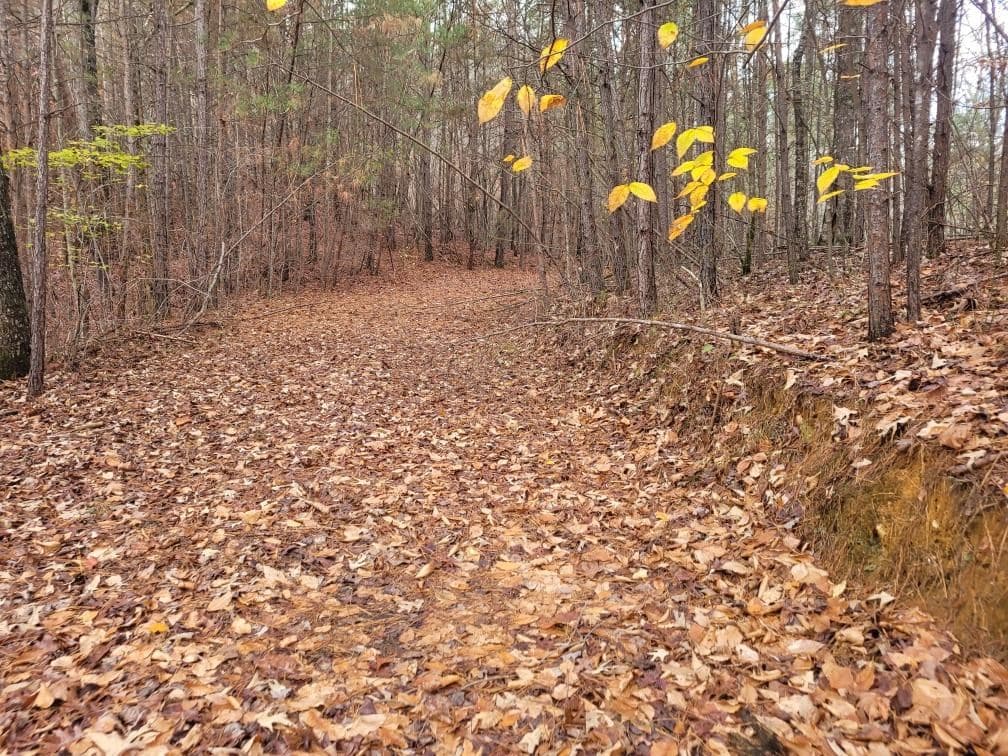 18.22 Talona Road, Ellijay GA 30540 - Photo