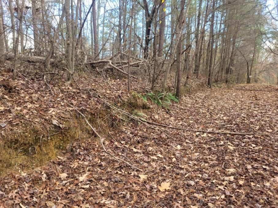 18.22 Talona Road, Ellijay GA 30540 - Photo