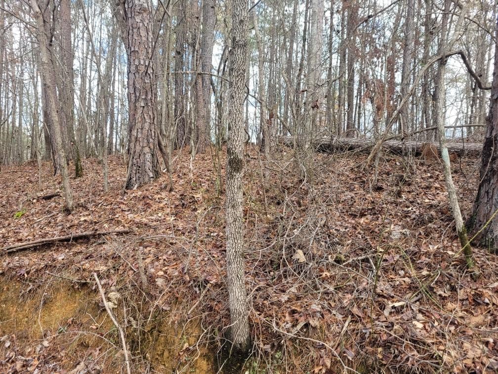 18.22 Talona Road, Ellijay GA 30540 - Photo