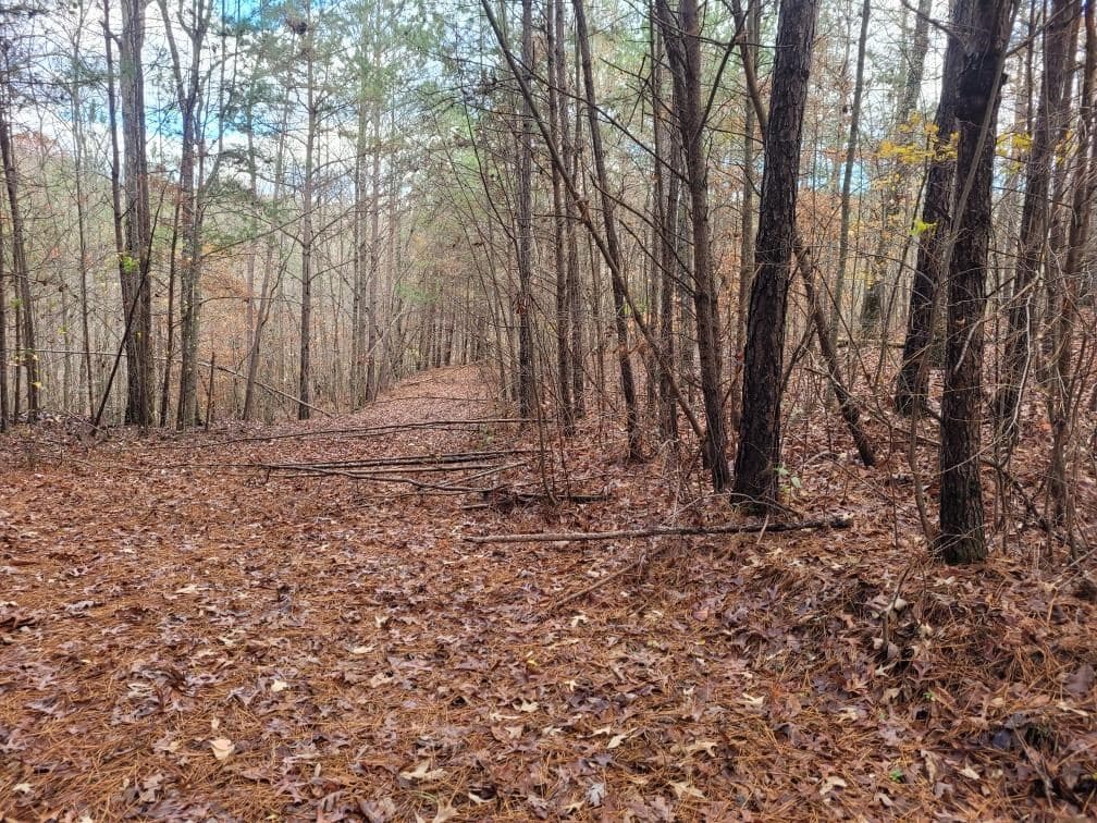 18.22 Talona Road, Ellijay GA 30540 - Photo