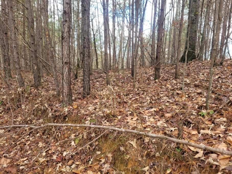 18.22 Talona Road, Ellijay GA 30540 - Photo