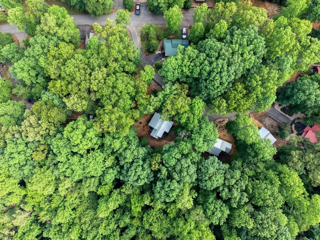 445 Chimney Ridge, Blairsville GA 30512 - Photo
