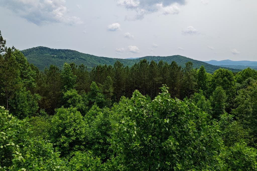 239 Ridge Top Drive, Ellijay GA 30536 - Photo