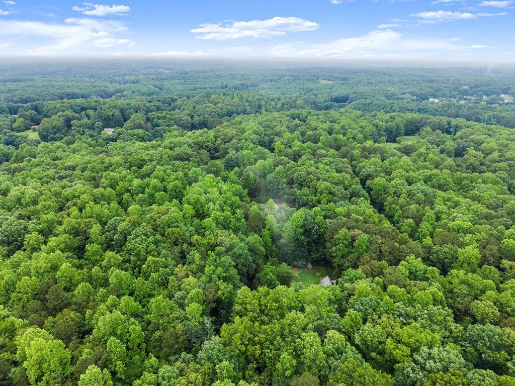 802 Old Mill Trail, Ball Ground GA 30107 - Photo