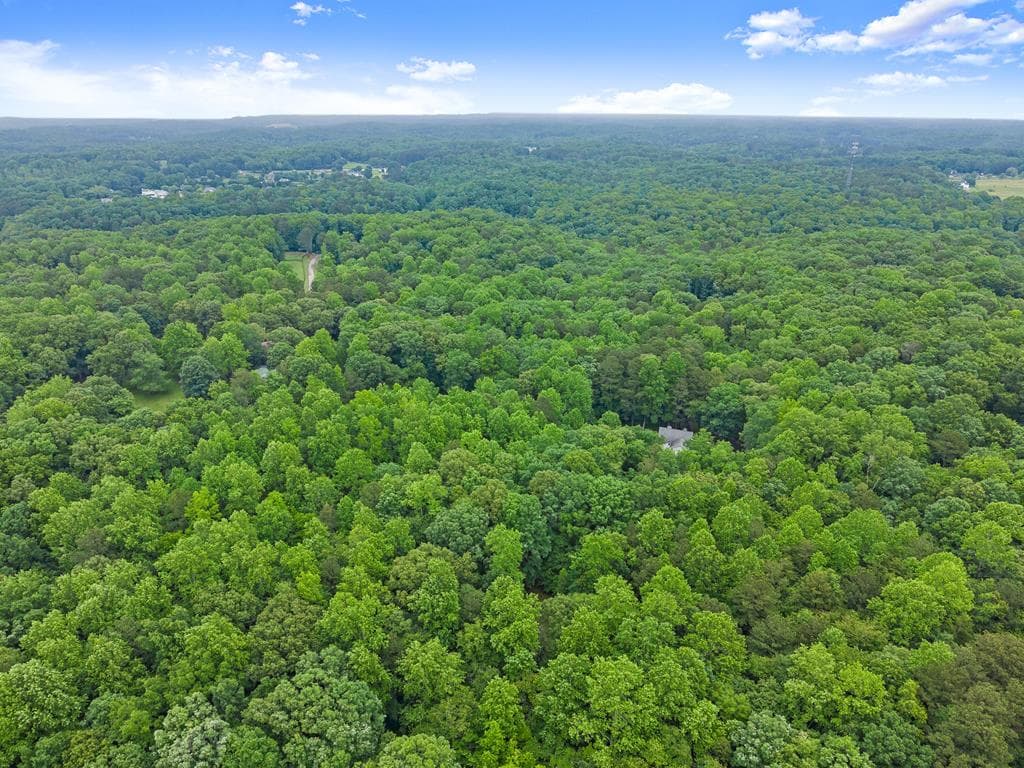 802 Old Mill Trail, Ball Ground GA 30107 - Photo