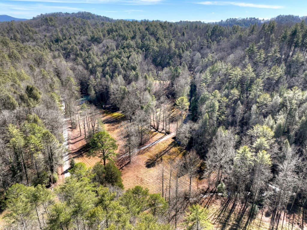 7233 Shakerag Road, Ellijay GA 30540 - Photo