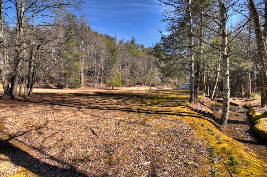 7233 Shakerag Road, Ellijay GA 30540 - Photo