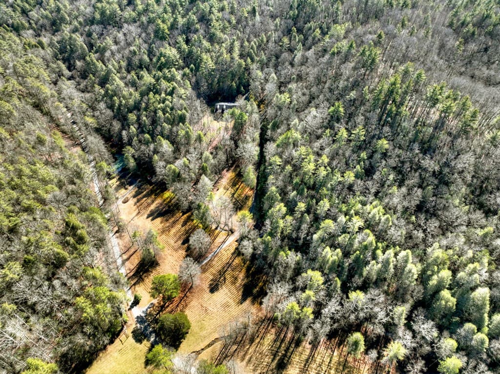 7233 Shakerag Road, Ellijay GA 30540 - Photo