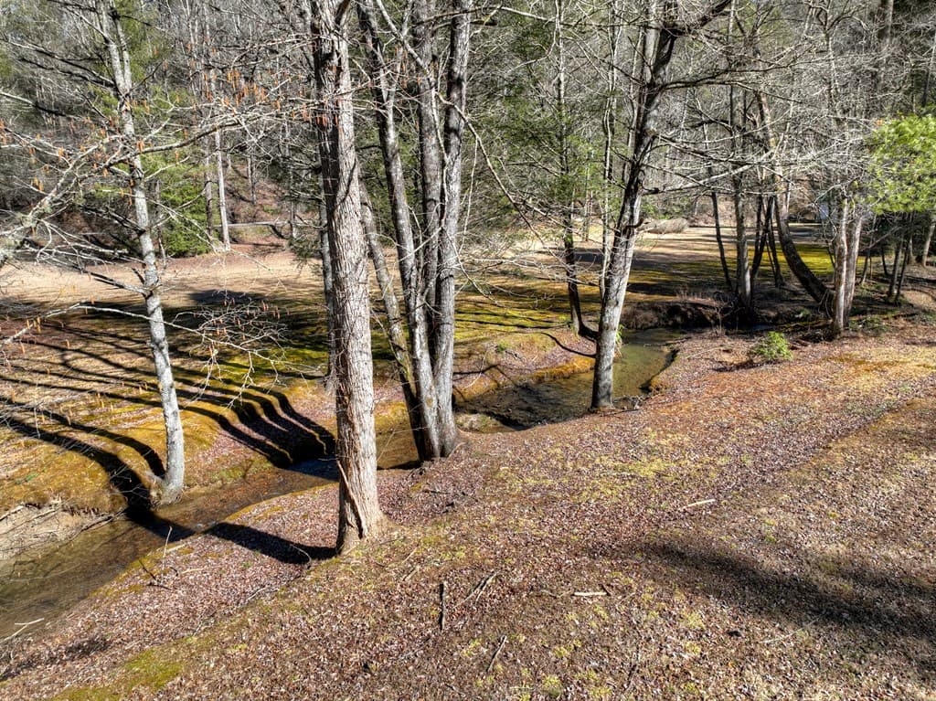 7233 Shakerag Road, Ellijay GA 30540 - Photo