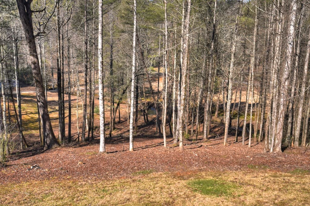 7233 Shakerag Road, Ellijay GA 30540 - Photo