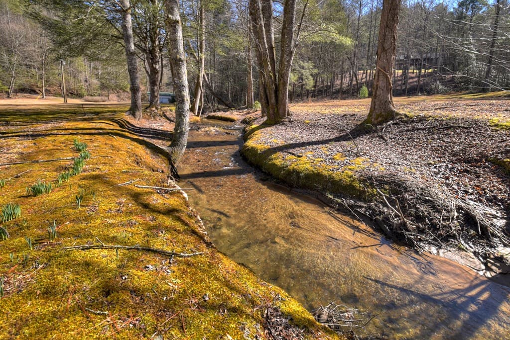 7233 Shakerag Road, Ellijay GA 30540 - Photo