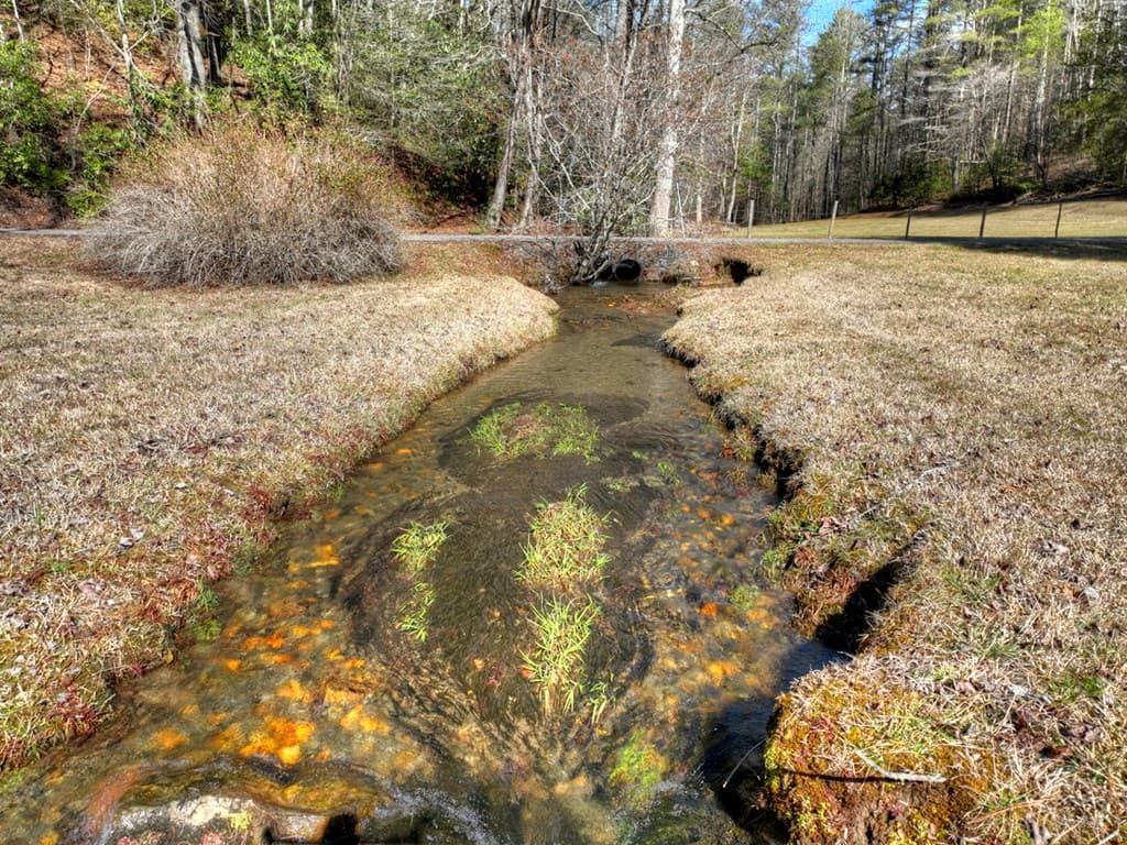 7233 Shakerag Road, Ellijay GA 30540 - Photo