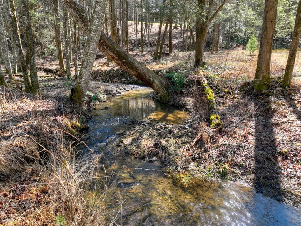 7233 Shakerag Road, Ellijay GA 30540 - Photo
