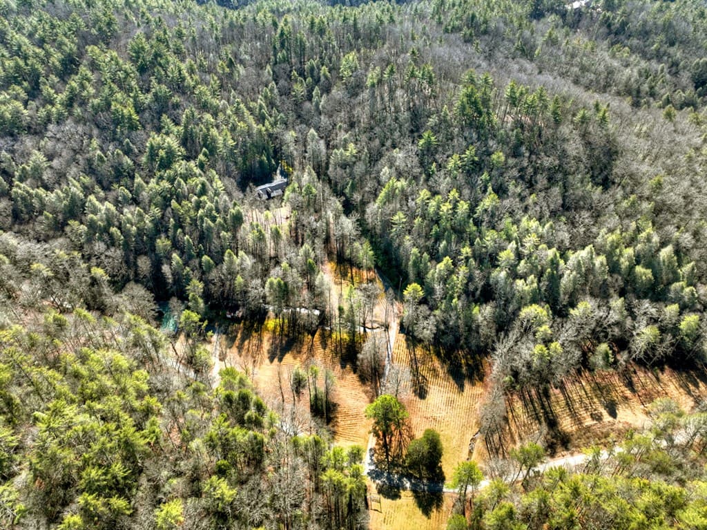 7233 Shakerag Road, Ellijay GA 30540 - Photo