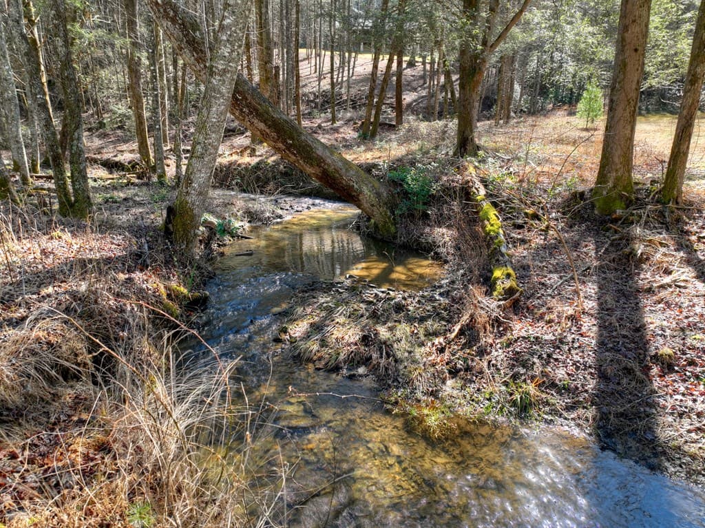 7233 Shakerag Road, Ellijay GA 30540 - Photo
