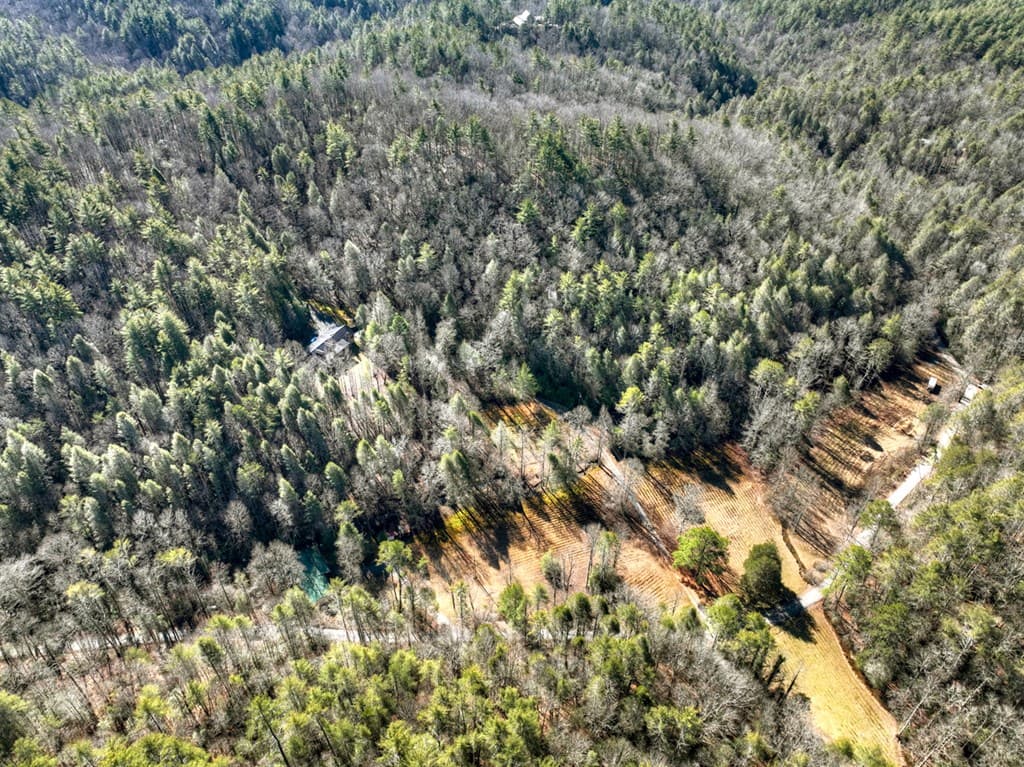 7233 Shakerag Road, Ellijay GA 30540 - Photo