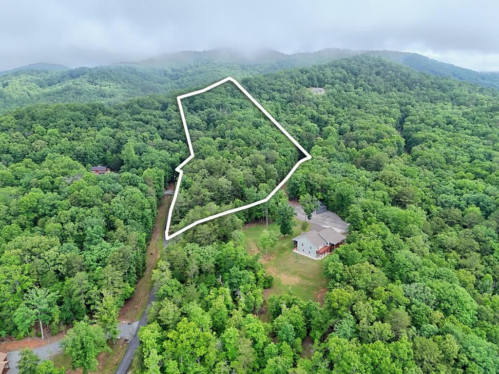 Lt 16,19 Pheasant Trail, Warne NC 28909 - Primary photo
