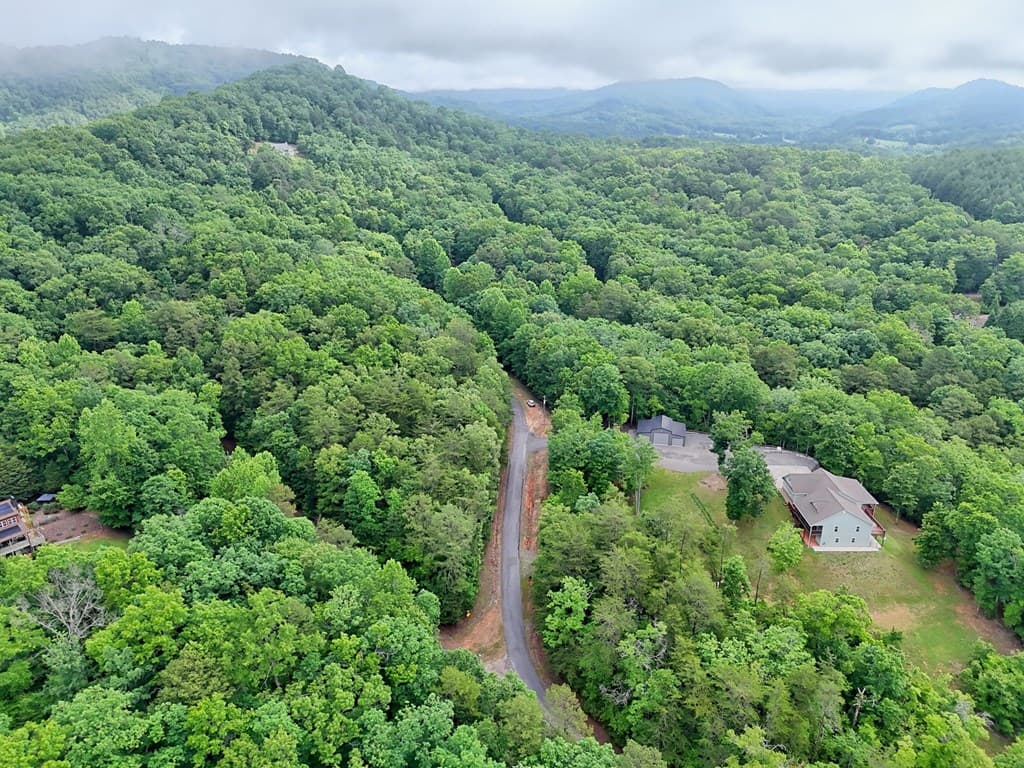 Lt 16,19 Pheasant Trail, Warne NC 28909 - Photo