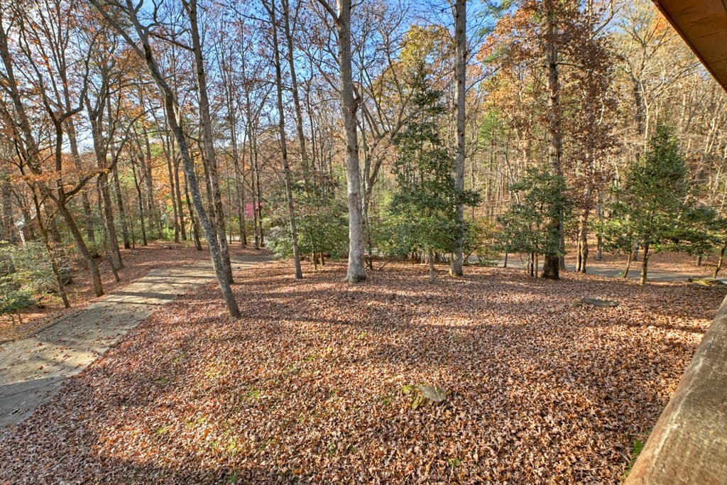 200 Lookiba Lane, Ellijay GA 30540 - Photo