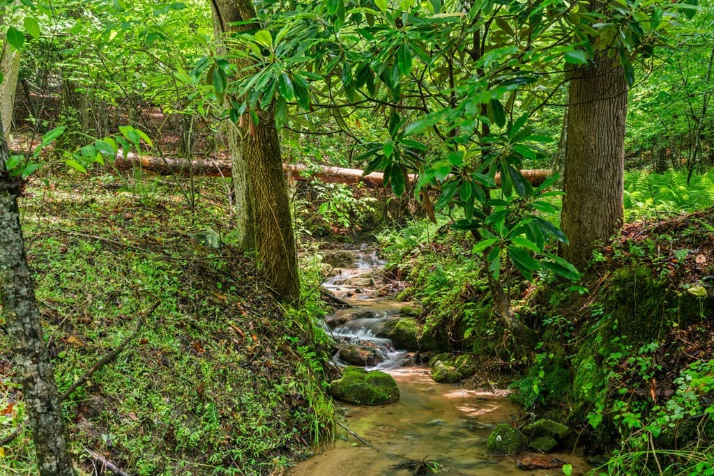714 Pope Cove Trail, Hayesville NC 28904 - Photo