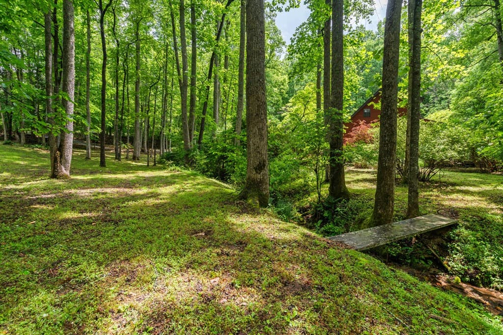 714 Pope Cove Trail, Hayesville NC 28904 - Photo