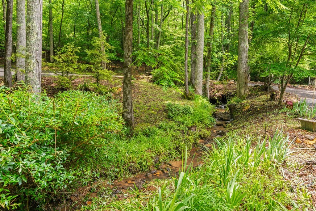 714 Pope Cove Trail, Hayesville NC 28904 - Photo