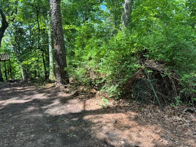 154 Chill Lane, Blairsville GA 30512 - Photo