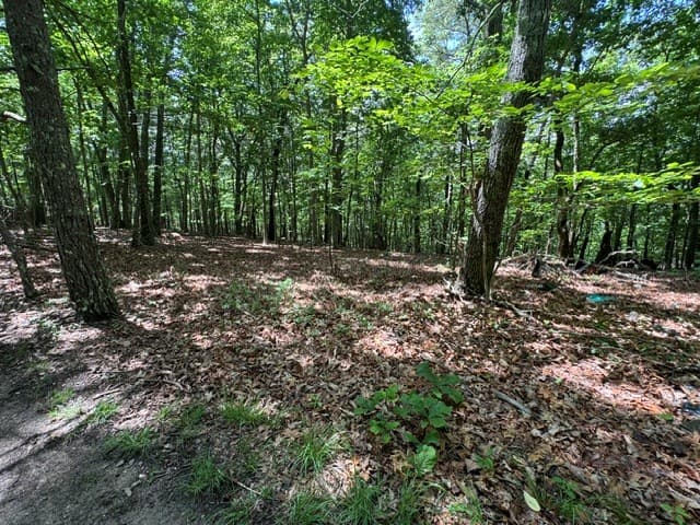 154 Chill Lane, Blairsville GA 30512 - Photo