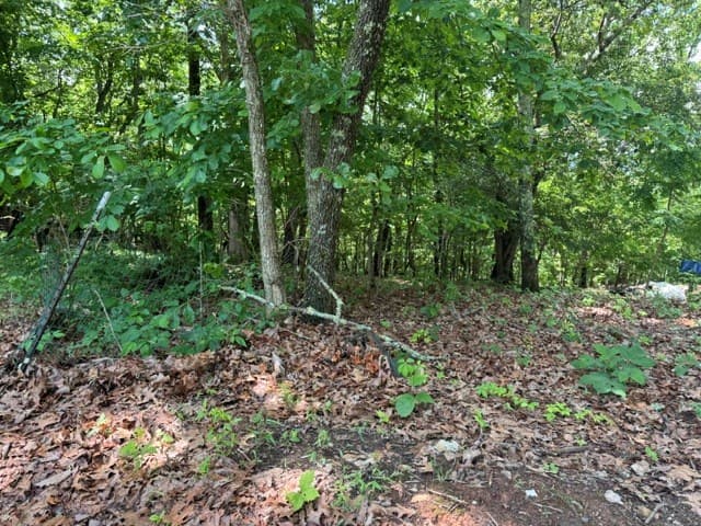 154 Chill Lane, Blairsville GA 30512 - Photo